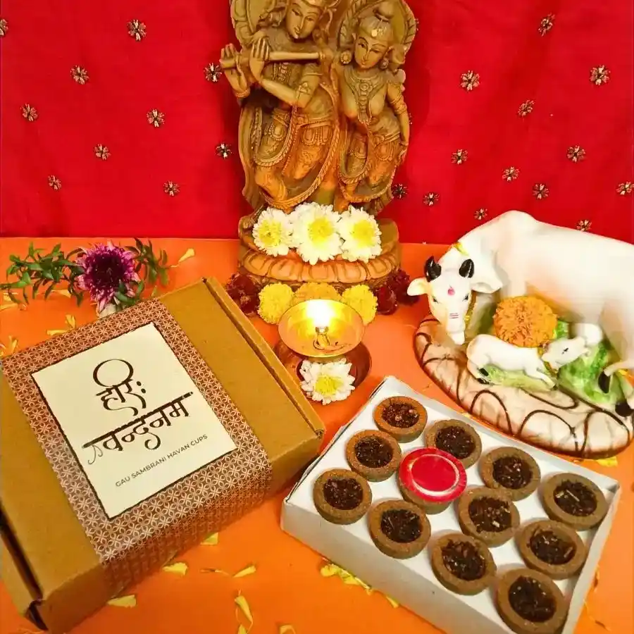 Gau Havan Cups for Daily Pooja | Dharmic Sakha